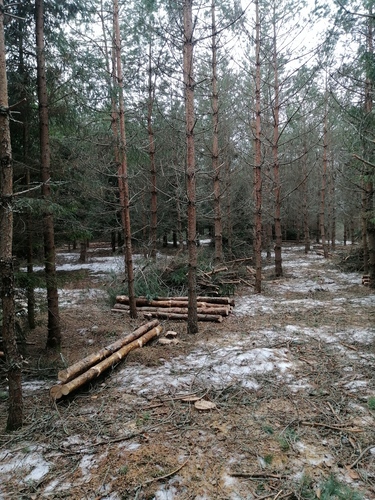 Work 11